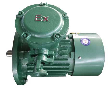 防爆電機(jī)